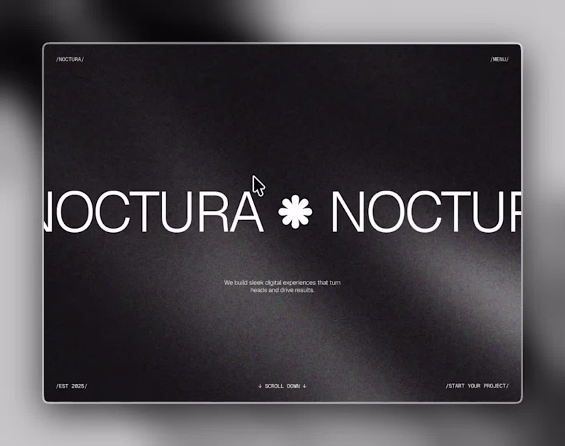 Cover image for Noctura started with a simple