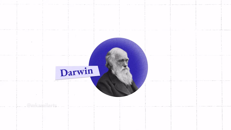 Cover image for A part of the explainer