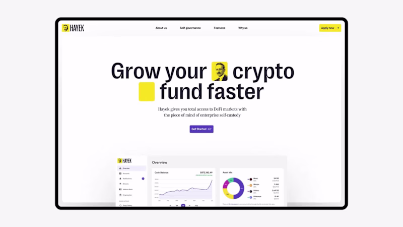 Cover image for Website and Brand Identity For Hayek Finance