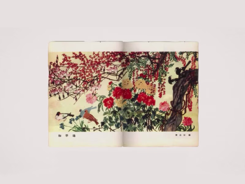 Cover image for M+ | Picasso for Asia—A Conversation