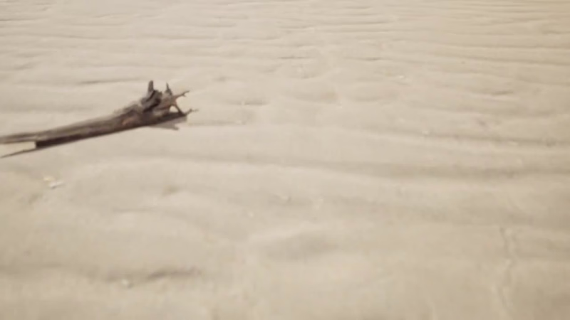 Cover image for Nifty Island in 2045 (FANMADE)