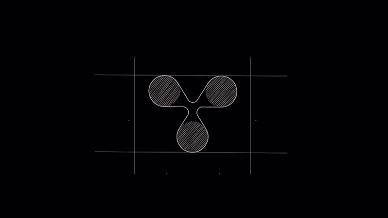 Cover image for The ship has set sail! 🚢✨ 🚀 Logo Animation 🎨 Branding Bri...