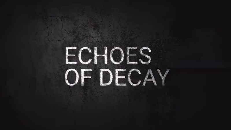 Cover image for ECHOES OF DECAY This piece was born from countless rejection...