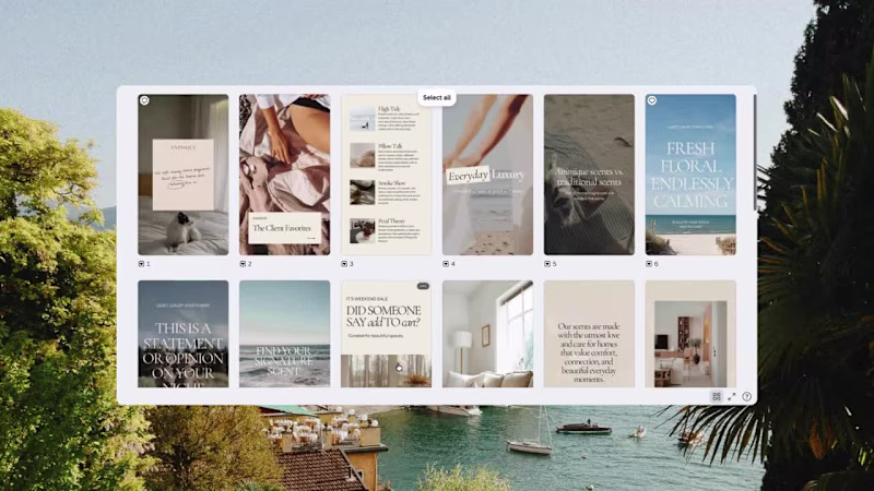 Cover image for Animique Social Media Template System Creation