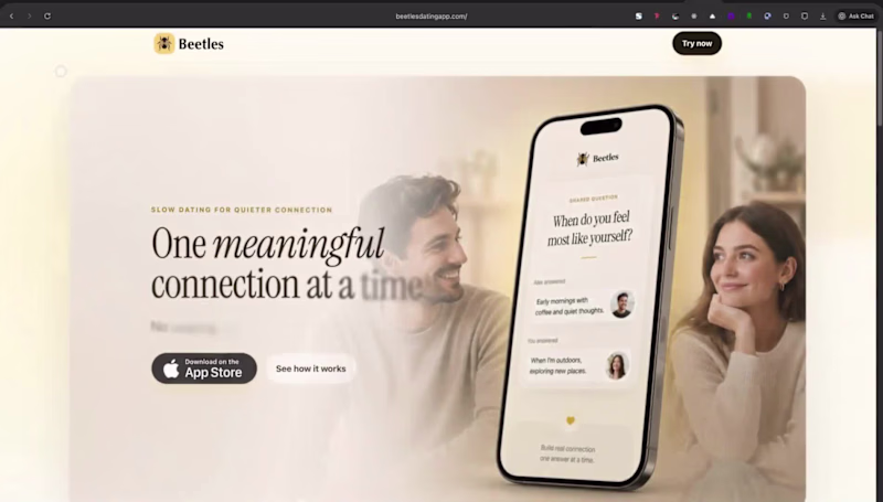 Cover image for Slow Dating App Development for Beetles