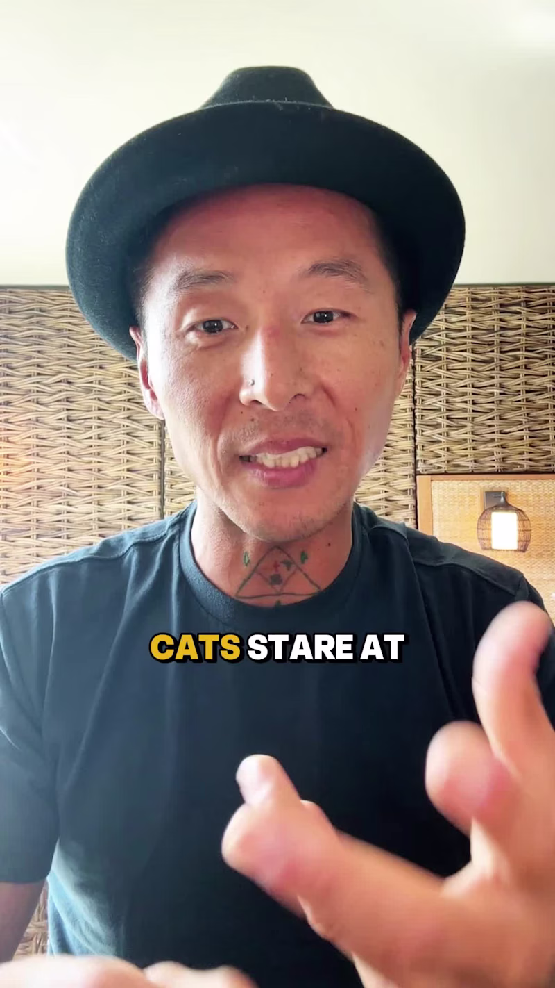 Cover image for This is one of my