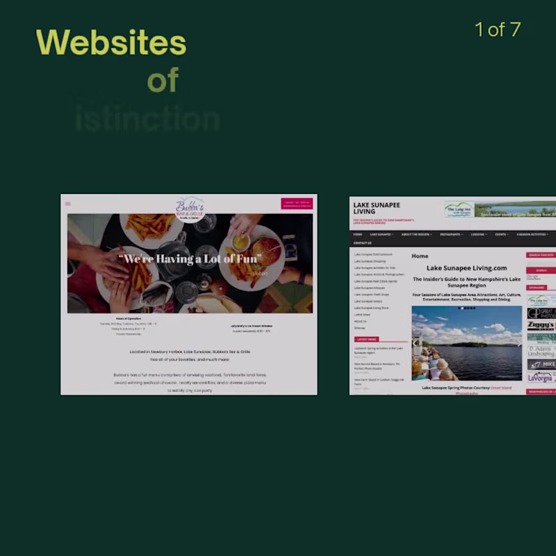 Cover image for Websites of Distinction by Lake