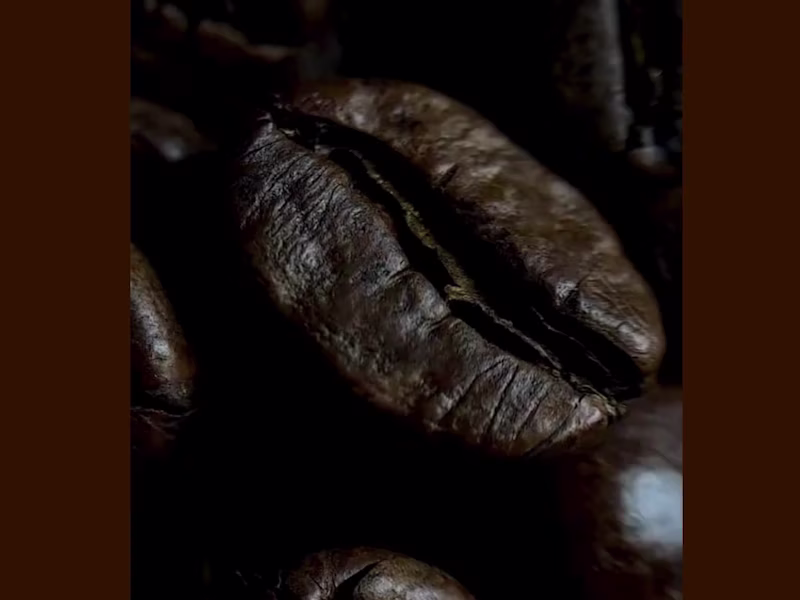 Cover image for Brew Haven Coffee Social Media Revamp and Reels Creation