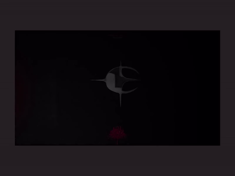 Cover image for Nicolas Baque Custom Portfolio 