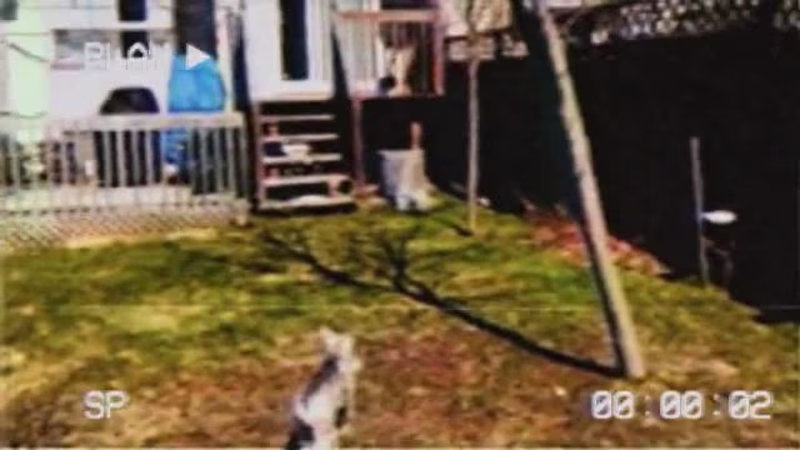 Cover image for Hijinx t shirt teaser 