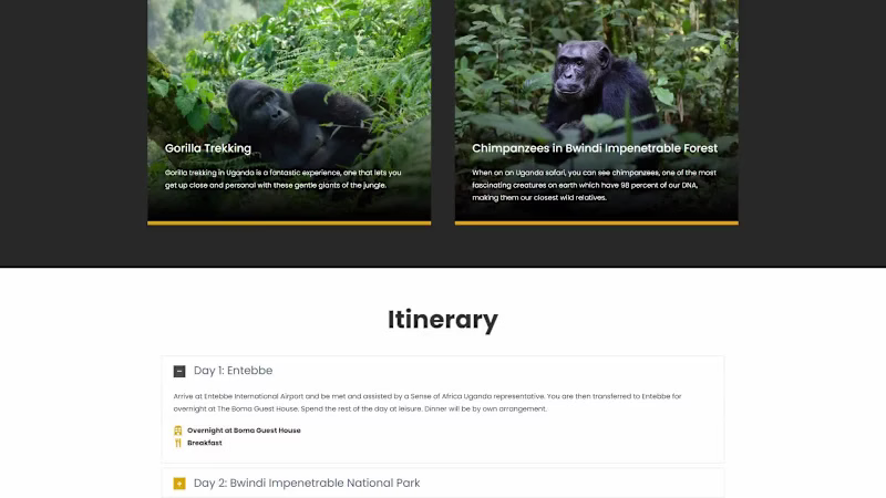 Cover image for I designed and developed a custom WordPress website for Jour...