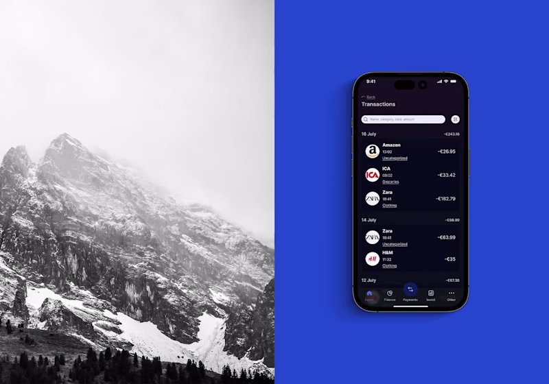 Cover image for Reimagining Personal Finance Interfaces with PayFlex