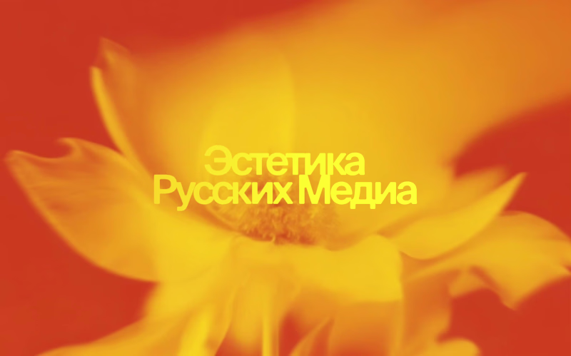 Cover image for Crafting a Complete Visual Identity System for Media Aesthetics