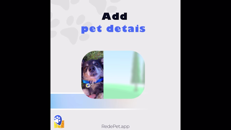 Cover image for A missing pet is never