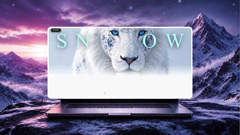 Cover image for SNOW is a luxury jewelry