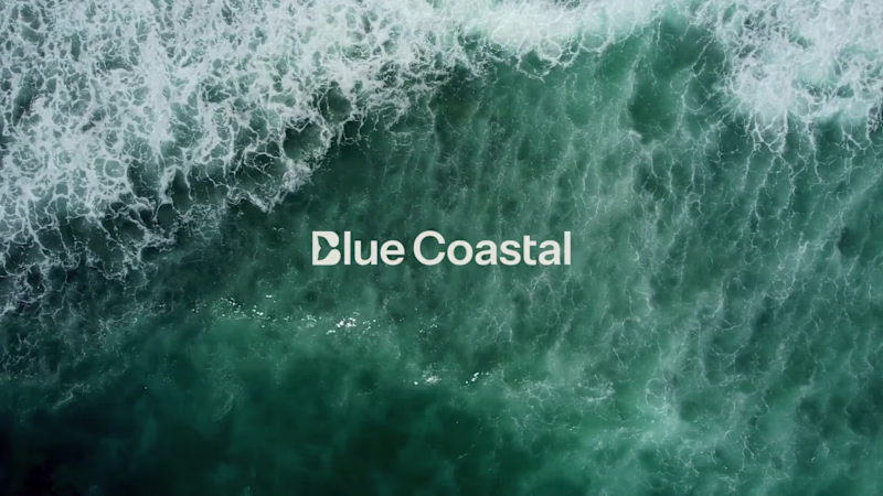 Cover image for Blue Coastal Brand Identity Design