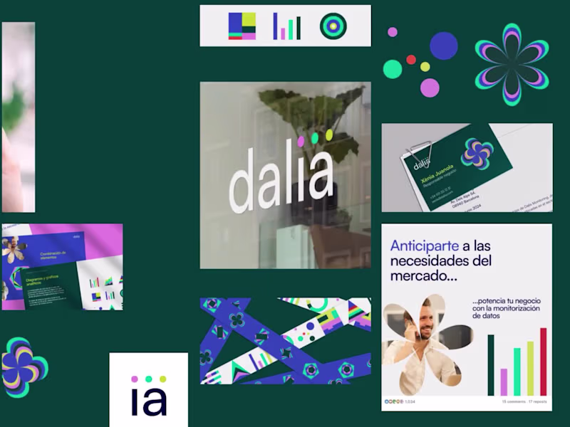 Cover image for Brand Identity for Dalia monitoring