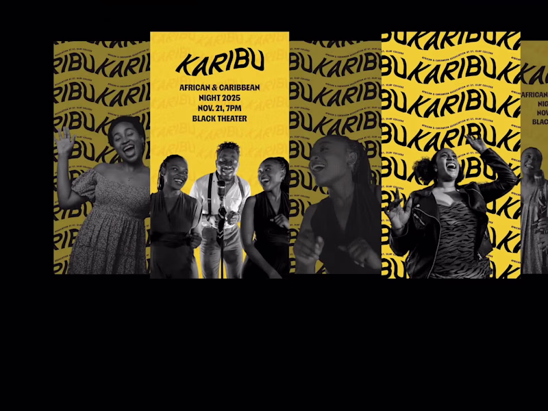 Cover image for KARIBU - Logo Redesign & Branding