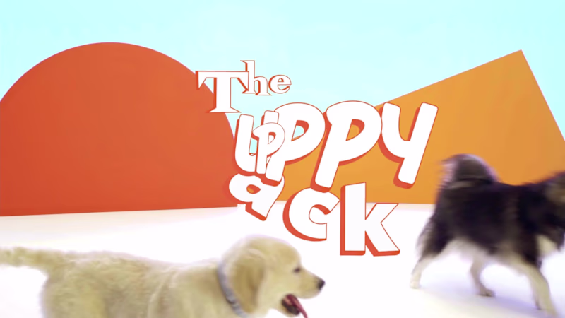 Cover image for Banfield Puppy Pack