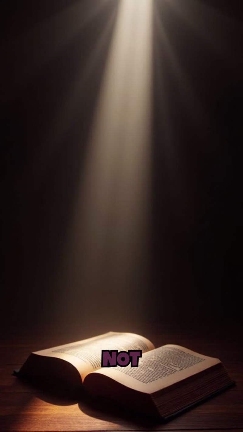 Cover image for The Nursery