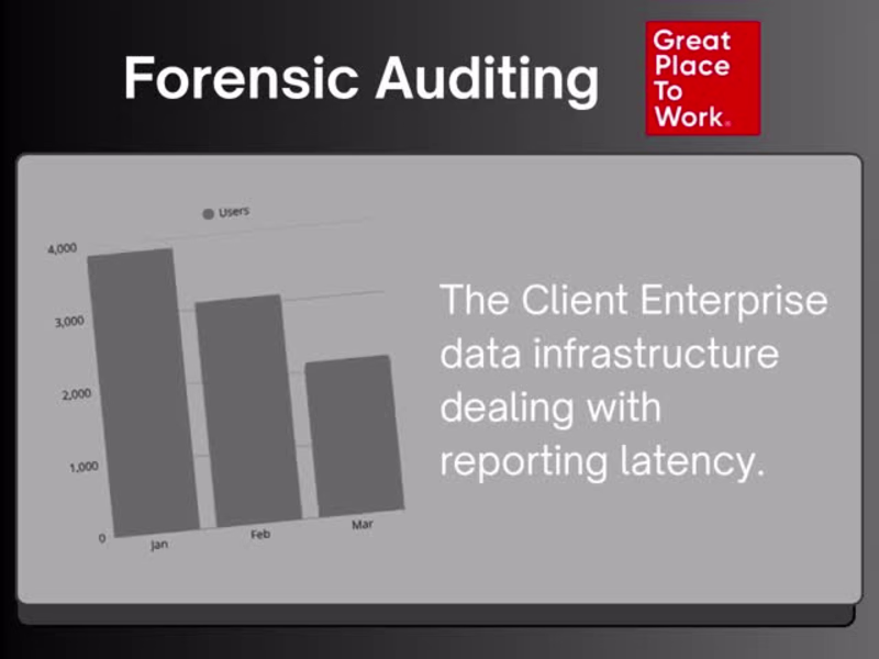 Cover image for Forensic Auditing for Great Place