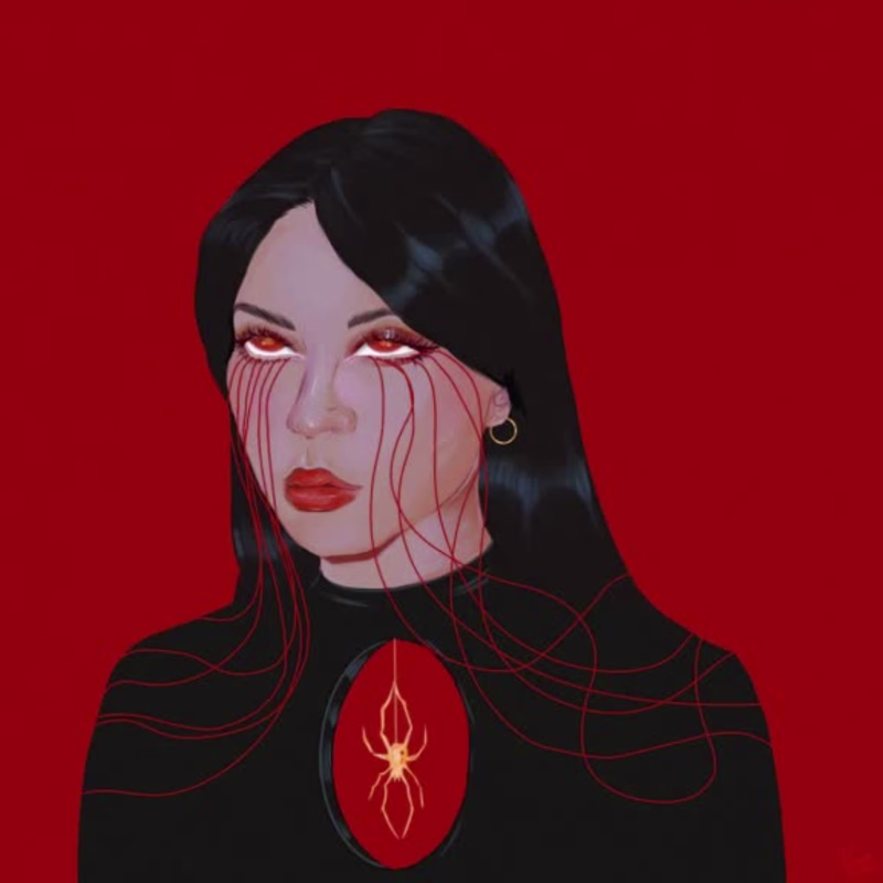 Cover image for Spider