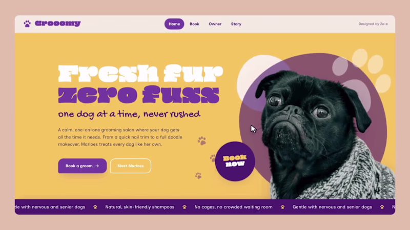 Cover image for GROOOMY  🐶  Smart