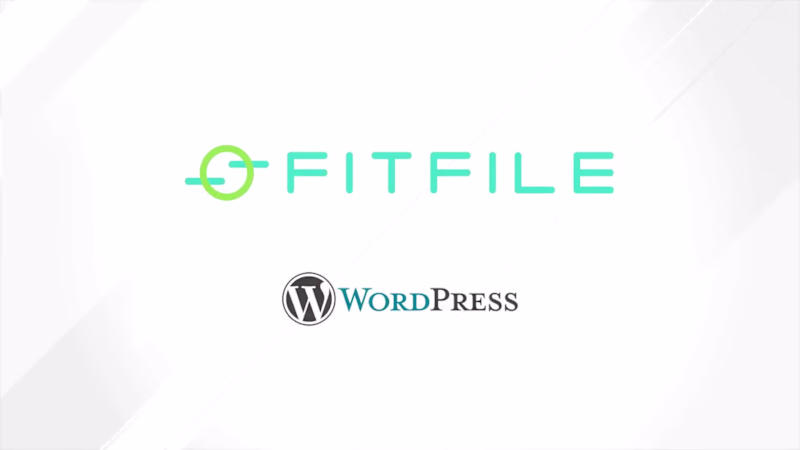 Cover image for Fitfile.com WordPress Website Development