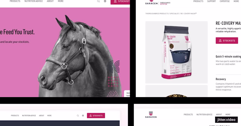 Cover image for Webflow Site Development for Saracen Horse Feeds