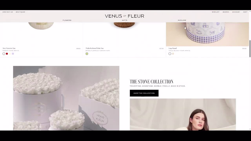 Cover image for Shopify Luxury Ecommerce Development –