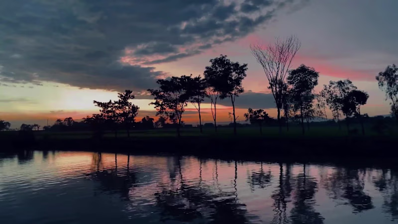 Cover image for A cinematic story about how