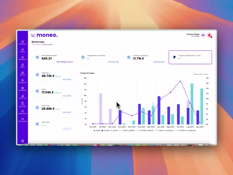 Cover image for moneo- financial co-pilot for SMEs