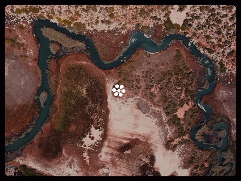 Cover image for I decided to share my