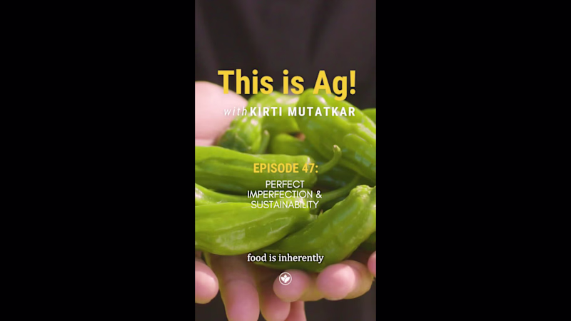 Cover image for Podcast Pre Release teaser