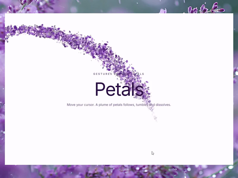 Cover image for Petals is live🌸 (Live Preview) (https://petals.framer.ai/),...