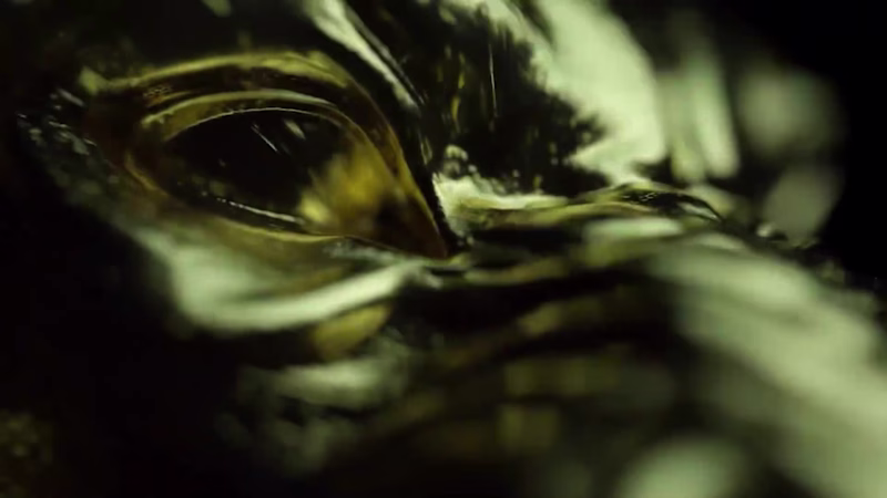 Cover image for Editing + Color Grading + CGI/VFX reel