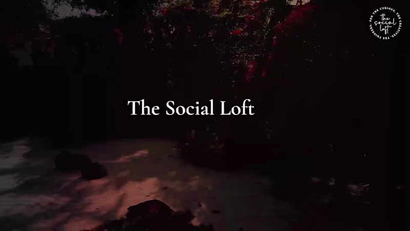 Cover image for The Social Loft's Brand Identity & Web Design