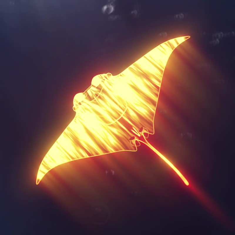 Cover image for Manta 📩Open to work