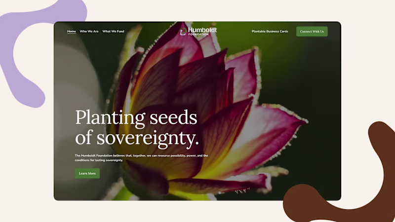 Cover image for We recently wrapped a project