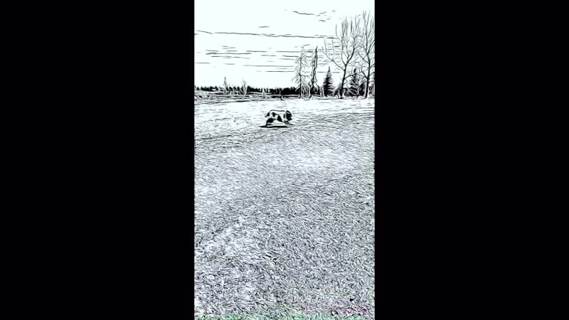 Cover image for Music and simple effects to