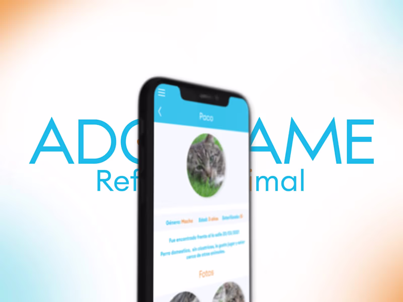 Cover image for Visual Identity and Digital Strategy for Animal Rescue