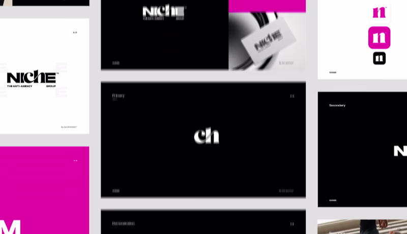 Cover image for Niche Group is a collective