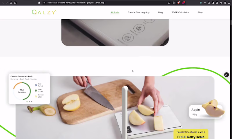 Cover image for Qalzy Landing page