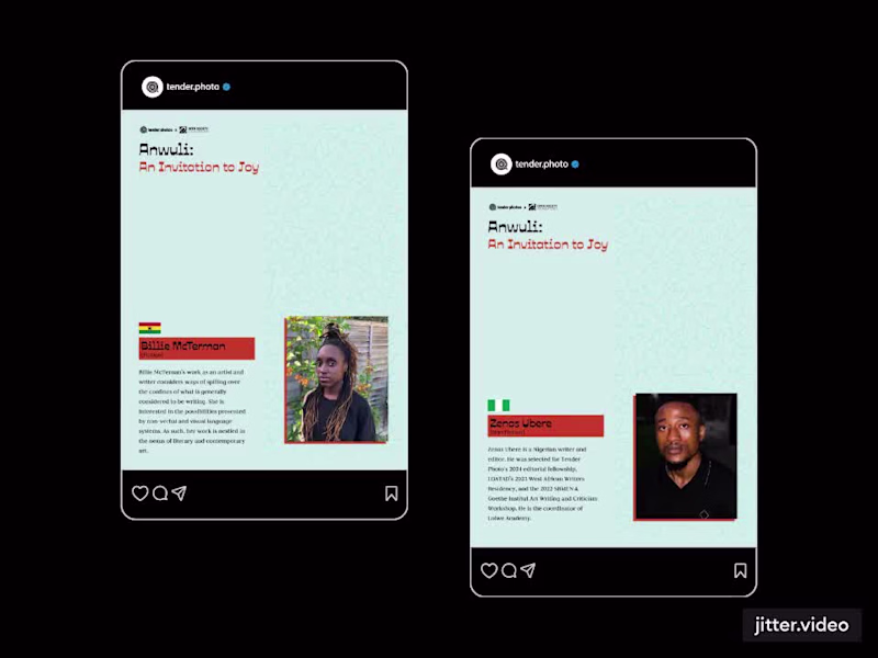 Cover image for Social Media Design for Tender Visions: Anwuli Campaign