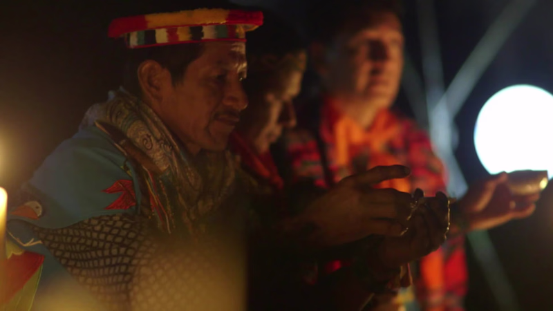 Cover image for Diversité 