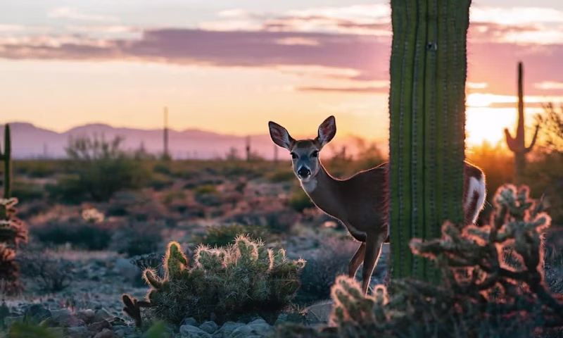 Cover image for Dynamic Motion Graphics & Animation to Bring Your Brand to Life