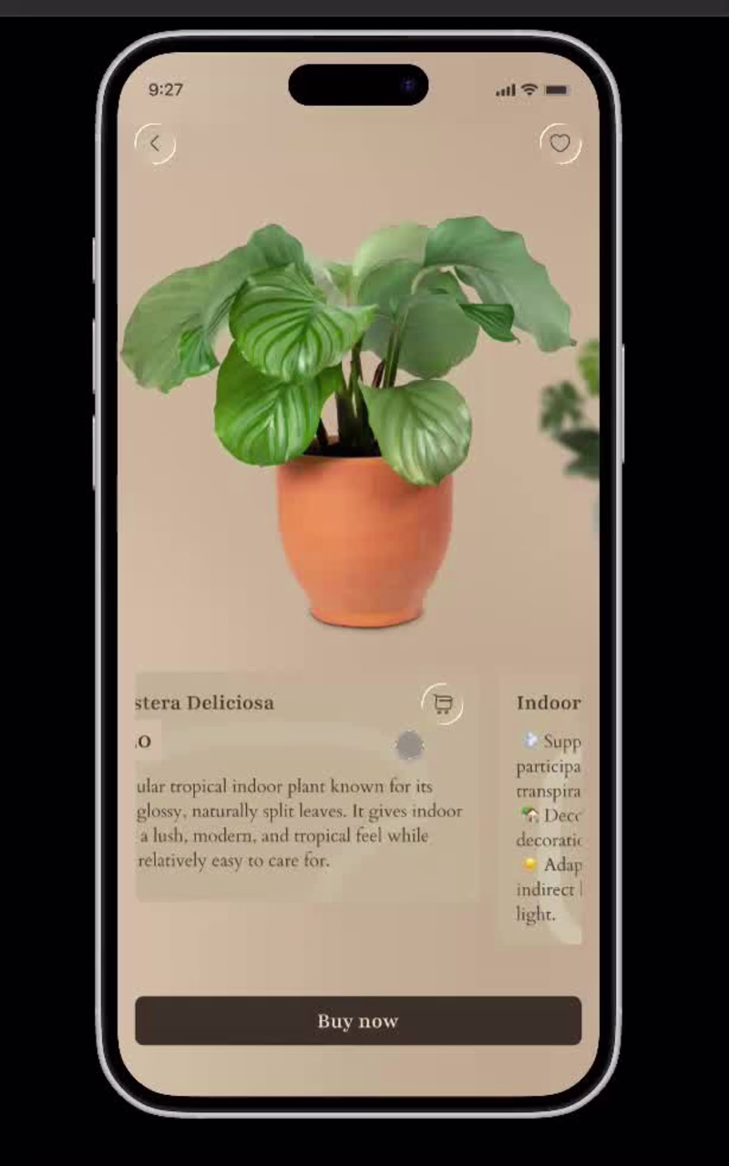 Cover image for A plant shop animation with