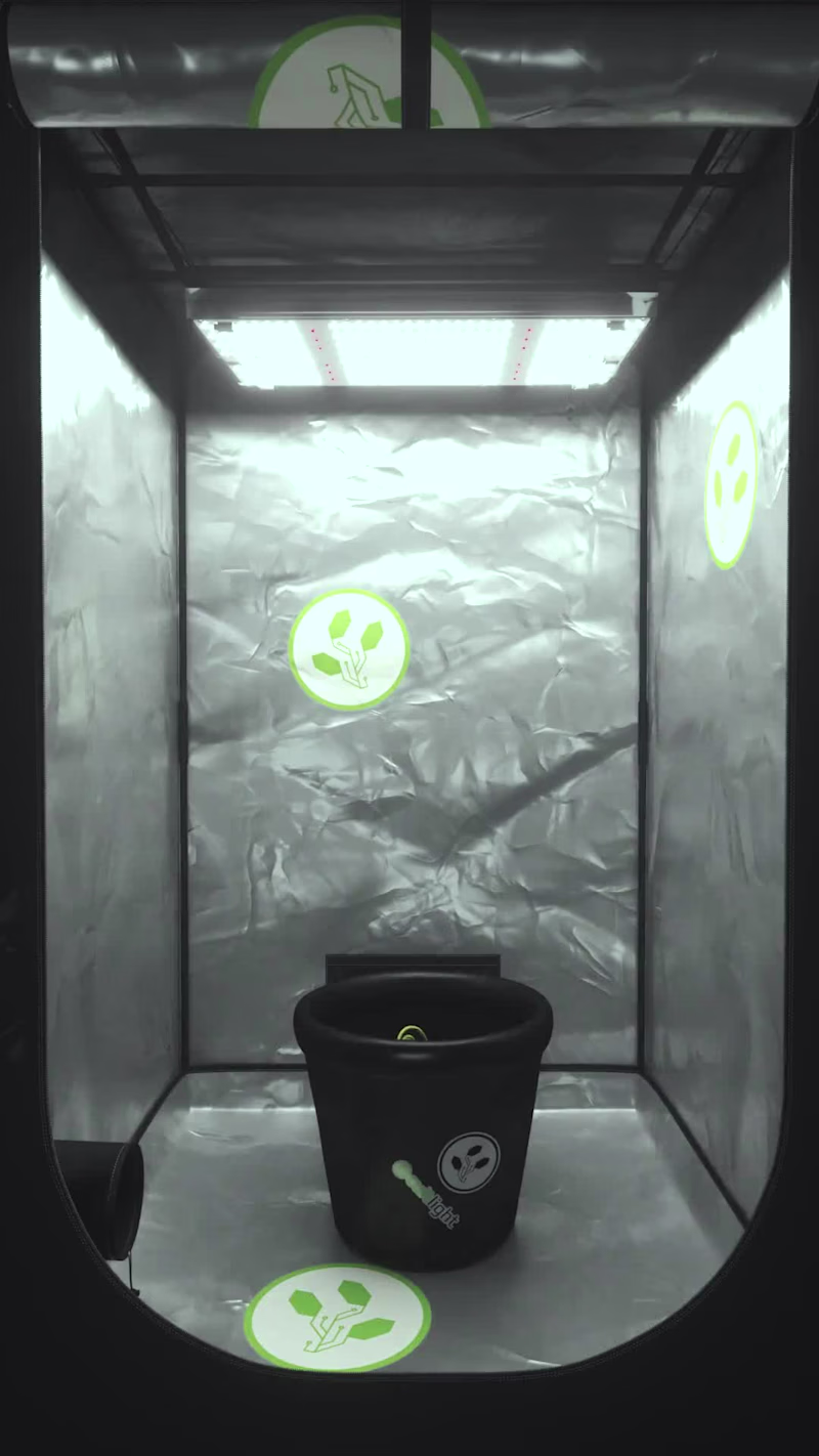 Cover image for 3D Animation - Cultlight