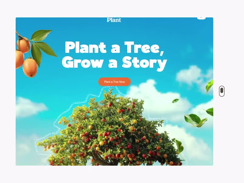 Cover image for Growing a forest starts with