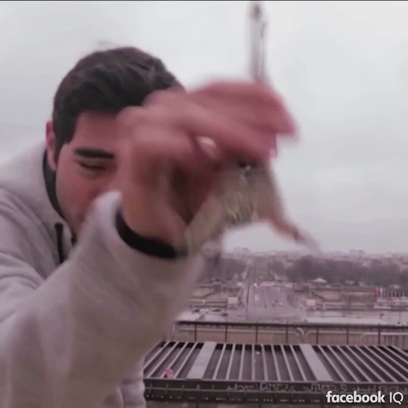 Cover image for Facebook IQ | Sizzle Reel